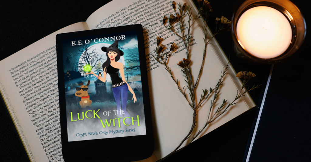 BookBrushImage1126 Win a paperback of Luck of the Witch