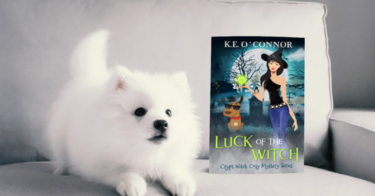 Win a paperback of Luck of the Witch