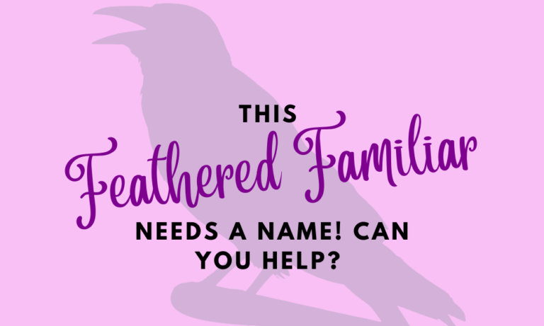 This feathered familiar needs a name! Can you help?