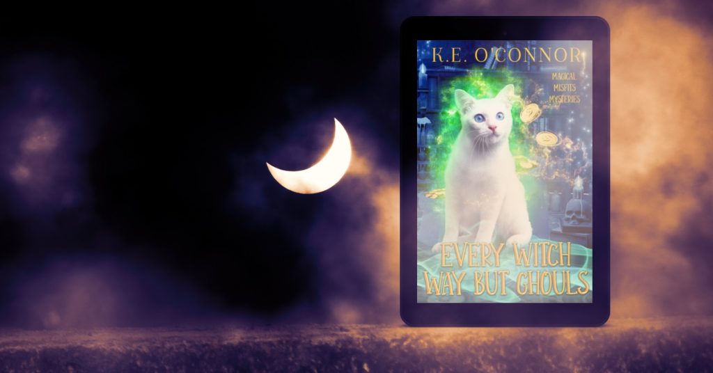 Magical Misfits Mysteries cozy witch mystery First Chapter Friday - there's a new cat on the block!